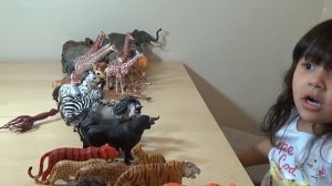 My Animal Toy Collection in the Box Part 2 Schleich Safari Wildlife ZOO Farm Animals Toys