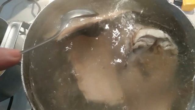 Рибний холодець смотреть онлайн