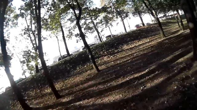 250 Mini quad FPV park flight смотреть онлайн