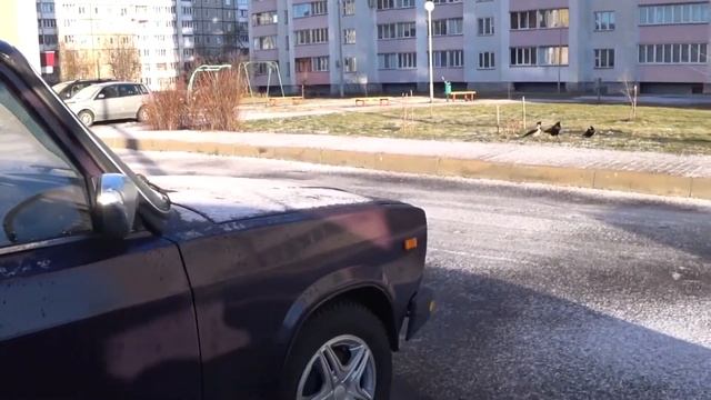 Обзор ситроена ксара. смотреть онлайн