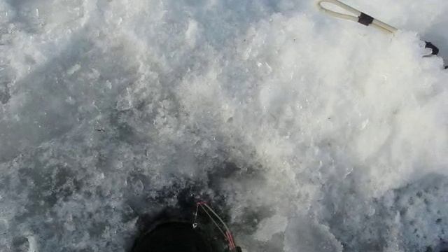 Эхолот Humminbird PiranhaMAX 170 приспособим к зиме !!!.mp4 смотреть онлайн