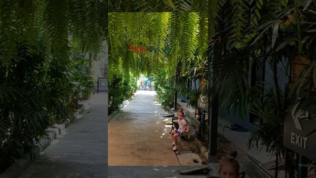 ПАТТАЙЯ, день девятый, TIGER PARK. Тайланд. Контакт с дикими хищниками. А Вы с нами? #shots #short смотреть онлайн