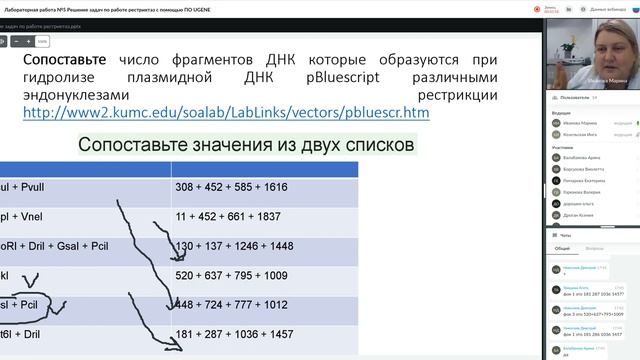 23 24 Лабораторная работа №5 Решение задач по работе рестриктаз с помощью ПО UGENE смотреть онлайн