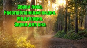 Звуки Леса / Пения Птиц в горном Лесу / Звуки горного ручья / Релаксация