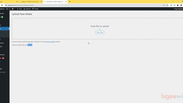 Build your Business | Part 13 | Demonstration | Update max file size limit for WordPress on Lightsa смотреть онлайн