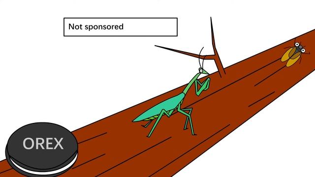 Quick Chinese Idioms Ep4: The mantis stalks the cicada, unaware of the oriole behind. 螳螂捕蝉黄雀在后 смотреть онлайн