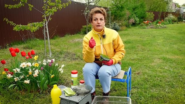 Как уничтожить хрущей? смотреть онлайн