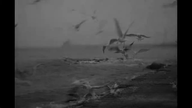 JUPITER - 8 2/50 / Carl zeiss sonnar ТТХ 50 мм f 2 смотреть онлайн