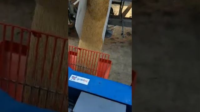 Зерновой пылесос пневмотранспортер  30 тчас    380996809388