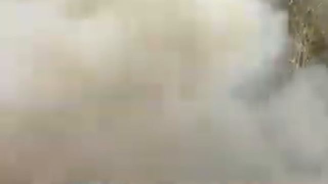 Ичишни фойдаси