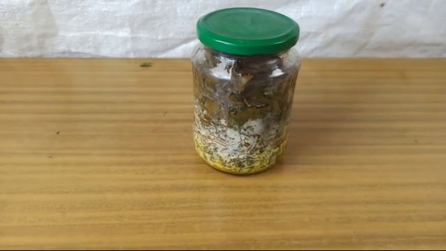 Зимний салат из листьев одуванчика смотреть онлайн