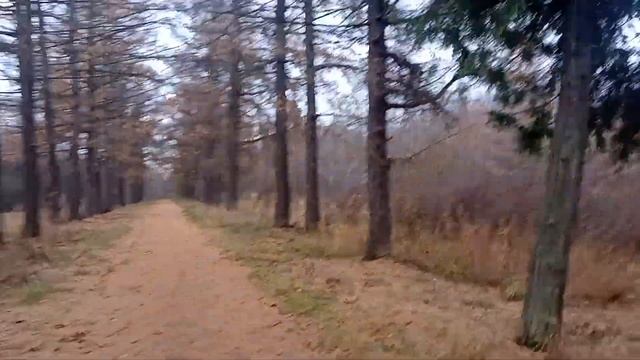 Коробковский сад смотреть онлайн