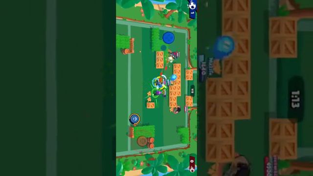 Чего путь шелли у меня?