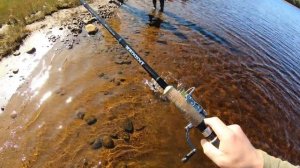 Ловля кумжи. Часть 2. Тайга у Белого моря 2. Рыбалка в Карелии.