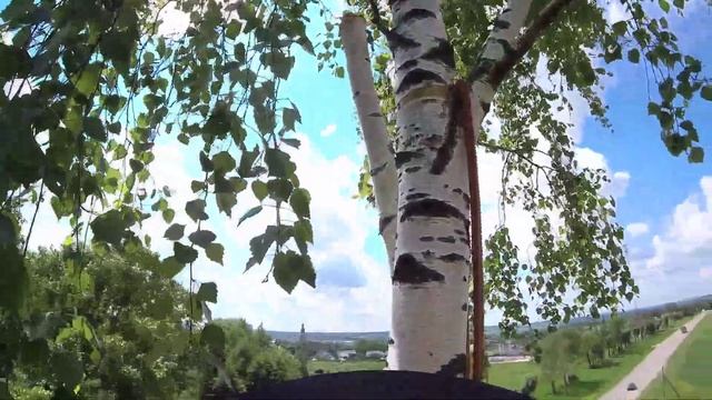Береза выворачивала памятник на кладбище своими корнями смотреть онлайн