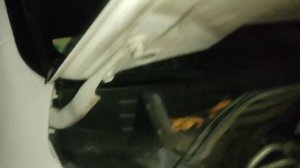 Toyota Land Cruiser 4.5 AT автоподбор