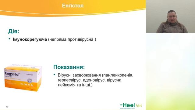 Респіраторні захворювання кішок інфекційної етіології. Лікування та профілактика.