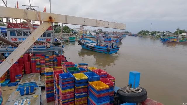 Ngư Dân Phan Rang Câu Cá Lạc To | Mừng Cho Bà Con Rời Về Chợ Mới Đông Hải смотреть онлайн