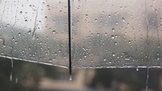 ПОГОДА ИЗМЕНИТСЯ КАРДИНАЛЬНО: УКРАИНУ НАКРОЕТ АНОМАЛЬНОЕ ПОТЕПЛЕНИЕ смотреть онлайн