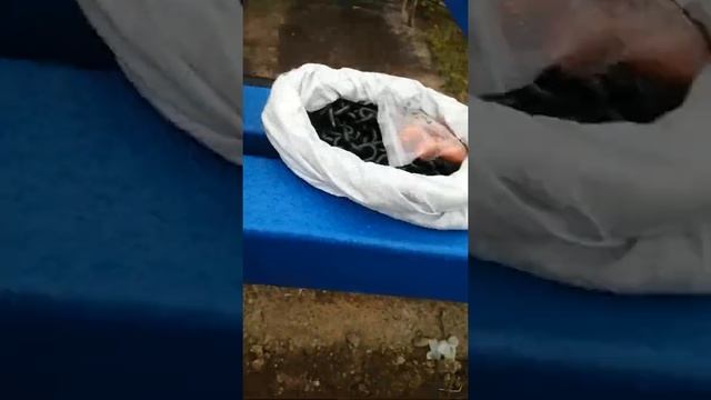 Стапель-Стенд для вытяжки геометрии автомобилей смотреть онлайн