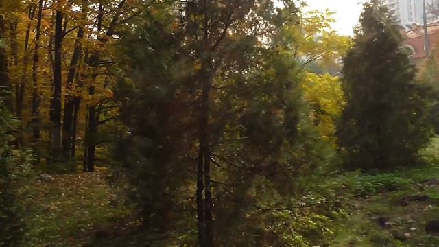 Планета Киев: Ручей Омелютинка в ботсаду (2018) смотреть онлайн