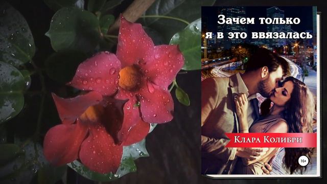 Зачем только я в это ввязалась "Любовный роман" (Клара Колибри) Аудиокнига смотреть онлайн