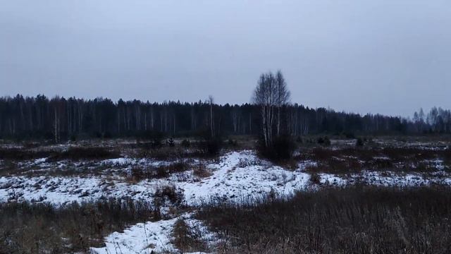Про Муромские РОДники смотреть онлайн