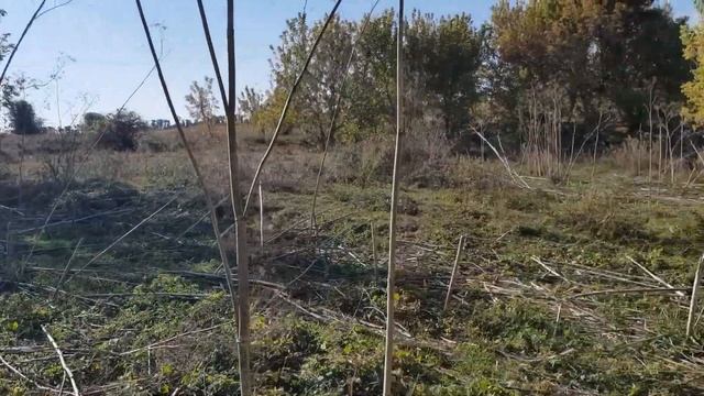 Коп с Nokta Anfibio Multi.И 