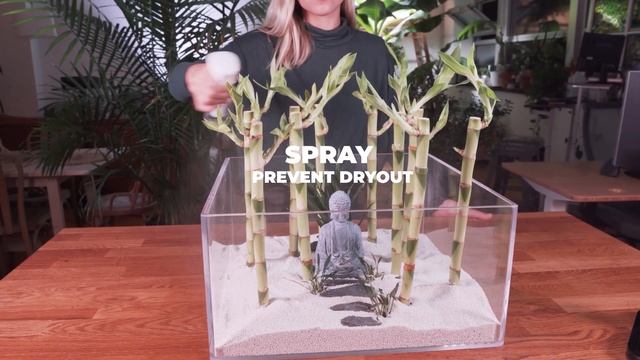 I Made A LUCKY BAMBOO Betta Tank