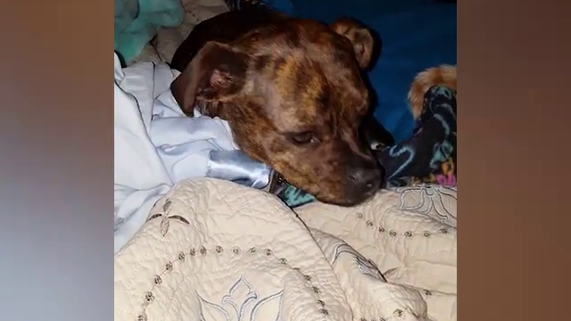 Мамы разные нужны, Мамы разные важны. смотреть онлайн