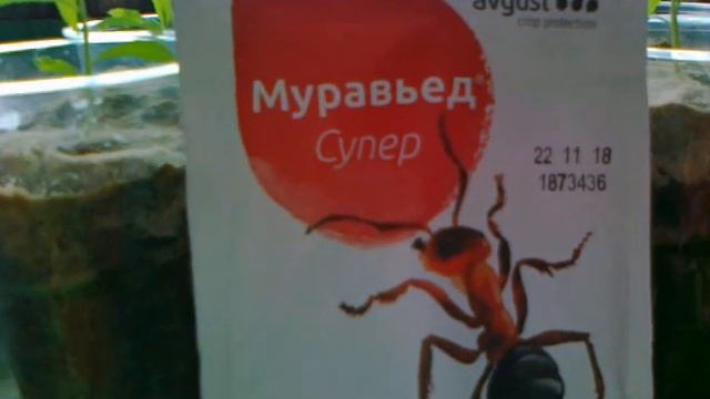 Муравьед Супер - супер средство от муравьёв смотреть онлайн