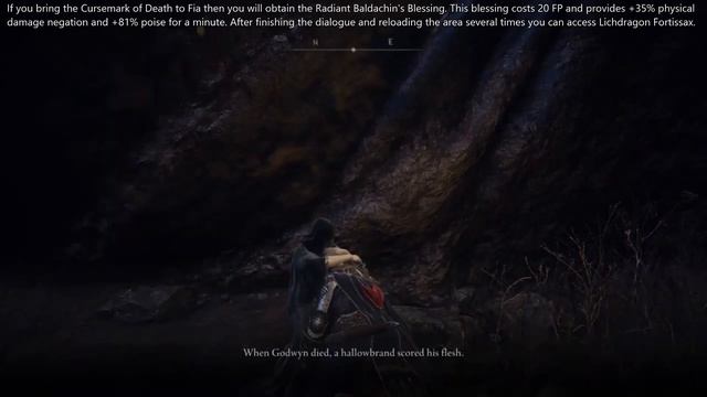 Elden Ring [Fia and Radiant Baldachin's Blessing in the Deeproot Depths] смотреть онлайн