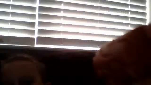 Webcam Video From May 21, 2015 12:07 PM (UTC)