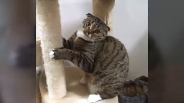 Фото Тиффани и Ксюши смотреть онлайн