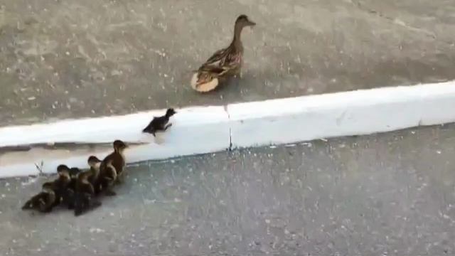 группа Рождество Геннадий Селезнев.mp4 смотреть онлайн