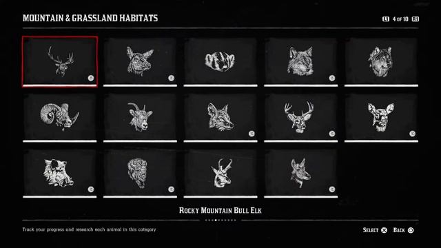 Naturalist for Beginners | Red Dead Online | Livestream | January 16th, 2024 смотреть онлайн