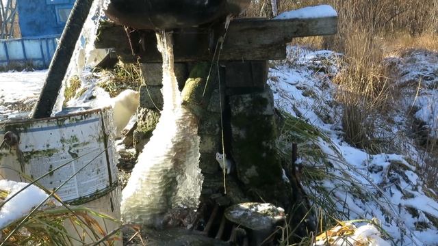 Горностай и ихтиоэксперимент Дальний Восток Охотское море Жизнь в лесу ч64 08 октябрь 2022 смотреть онлайн