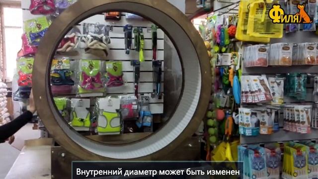 Фитнес-колесо для кошек - готовимся к лету правильно!