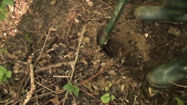 С Буром на Золотой Косе.