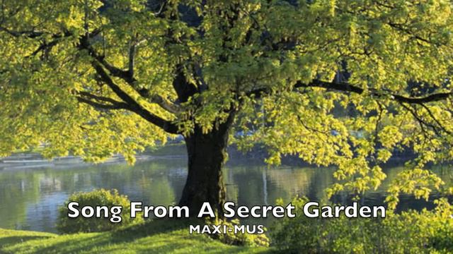 Song From A Secret Garden (Violin) Maxi-Mus смотреть онлайн
