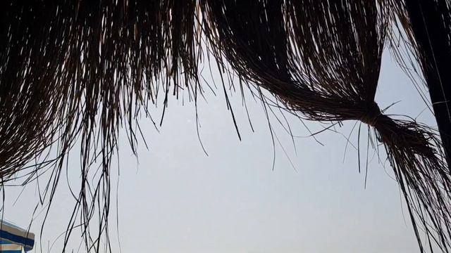 Beach Club DOGANAY #отзыв2023, #отпуск