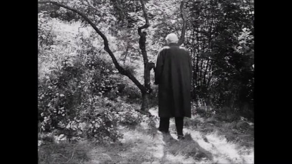 Ingmar Bergman,  Sweet Dreams