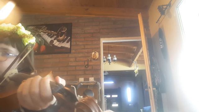 Weiss op.38 first garland of flowers for violin смотреть онлайн