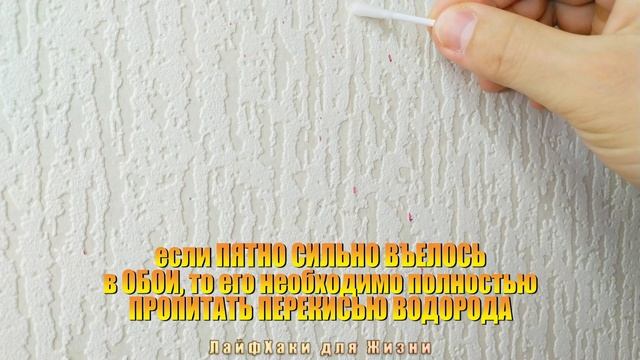 Как ОТМЫТЬ ОБОИ от ПЯТЕН СВЕКЛЫ | ЛАЙФХАК чем отчистить БЕЛЫЕ ОБОИ от ПЯТЕН СВЕКОЛЬНОГО СОКА смотреть онлайн