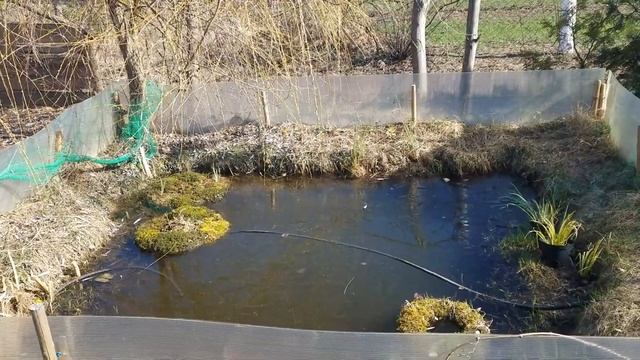 Пруд на даче. Ошибки, достижения, история. смотреть онлайн