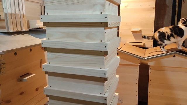 Улей японский