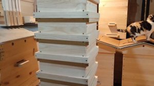 Улей японский