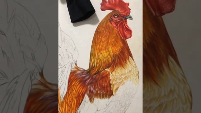 Chicken Panting #easypainting #easypapercraft #pantingclass