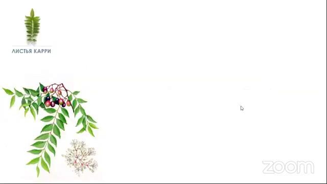 Здоровые и красивые волосы. Система ухода за волосами RVL смотреть онлайн