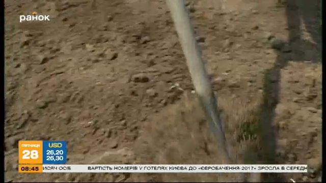 Как улучшить урожай картофеля - Садовые советы смотреть онлайн